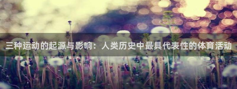 3377体育官方正版app集团E.ON：三种运动的起