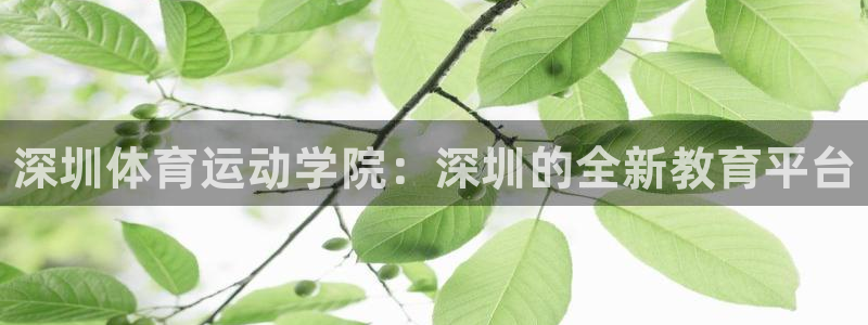 3377体育官方正版app娱乐是那个系列的台子：深圳