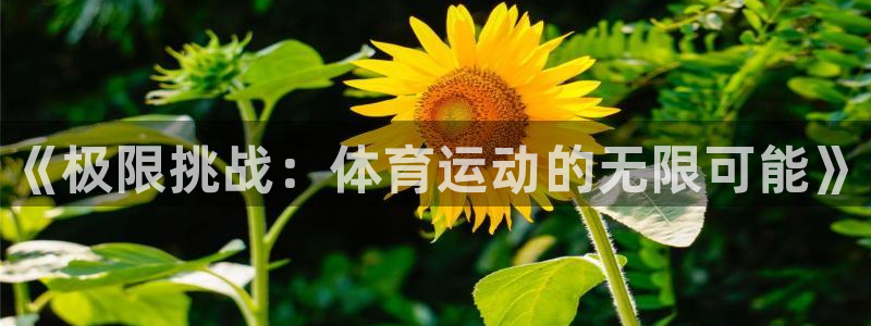 3377体育官方正版app开户：《极限挑战：体育运动