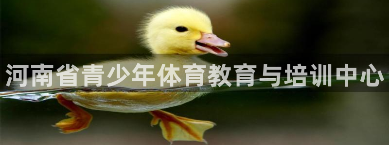海南3377体育官网下载发展怎么样：河南省青少年体育
