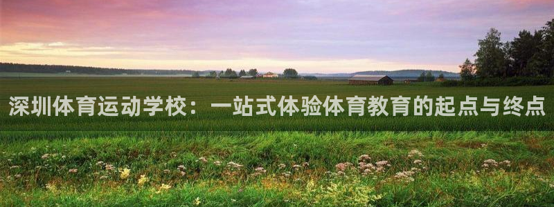3377体育官网下载平台假的吗是真的吗：深圳体育运动