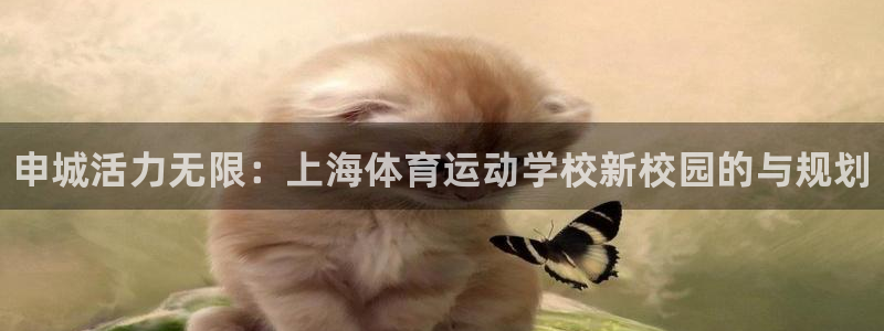 3377体育官网下载平台是正规平台吗安全吗：申城活力无限：上