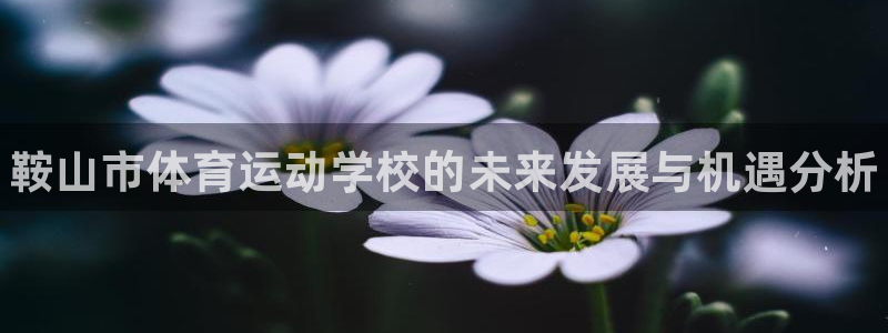 3377体育官方正版app新能源：鞍山市体育运动学校