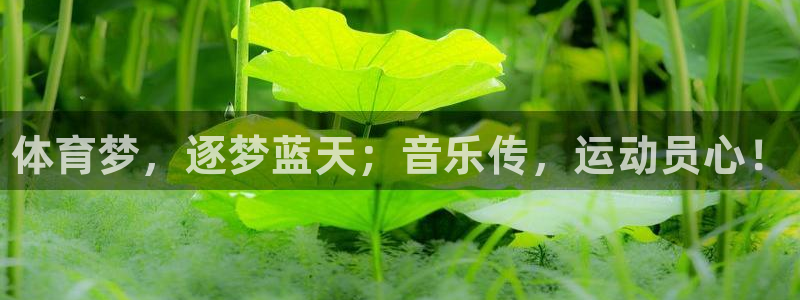 3377体育官网下载招商电话：体育梦，逐梦蓝天；音乐