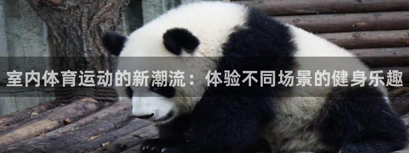 3377体育官网下载平台注册流程视频：室内体育运动的