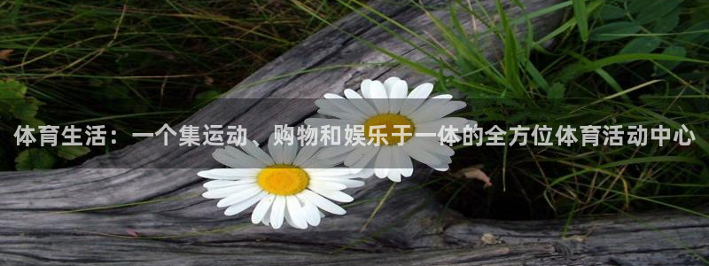 3377体育官网下载平台APP：体育生活：一个集运动