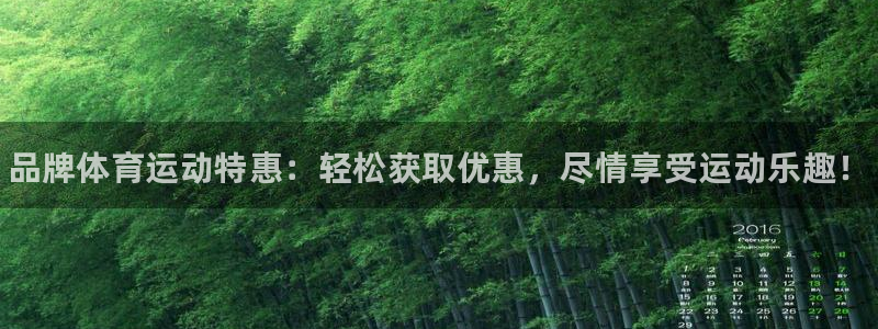 3377体育官方正版app代理：品牌体育运动特惠：轻