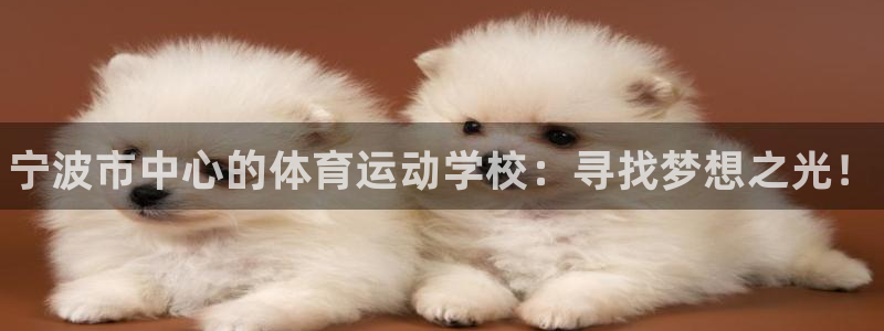 3377体育官方正版app官方