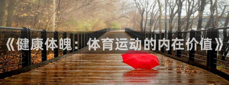 3377体育官方正版app神州：《健康体魄：体育运动的内在价