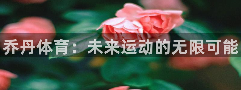 3377体育官方正版app集团官网网址：乔丹体育：未来运动的