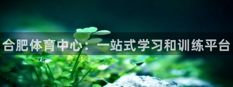 注册3377体育官方正版app：合肥体育中心：一站式