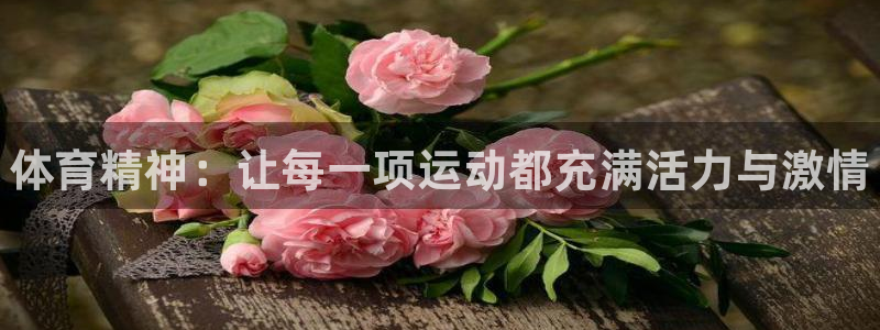 3377体育官方正版app集团官网首页：体育精神：让每一项运