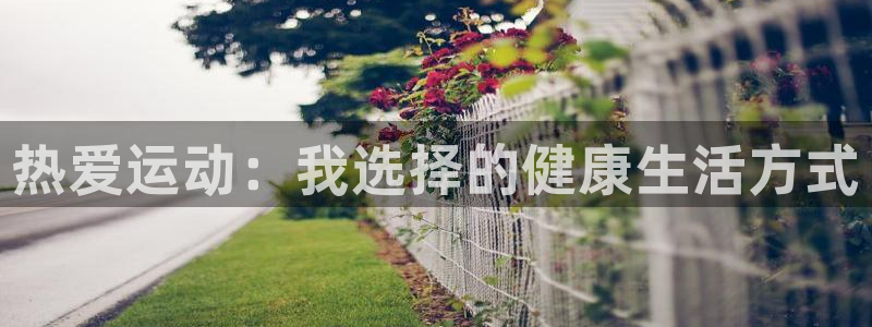 3377体育官方正版app娱乐网站
