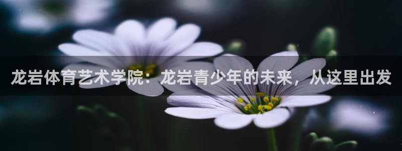 3377体育官方正版app娱乐首页网站大全：龙岩体育艺术学院