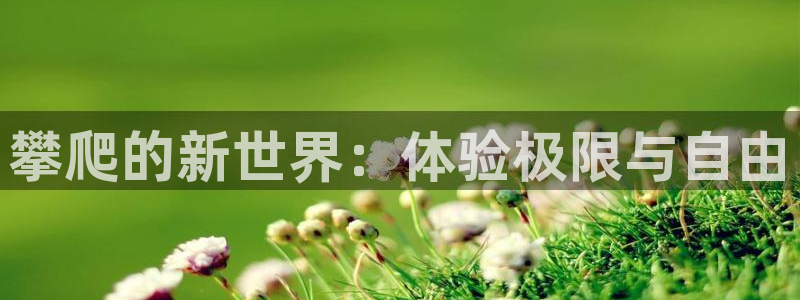 3377体育官方正版app娱乐40996：攀爬的新世界：体验