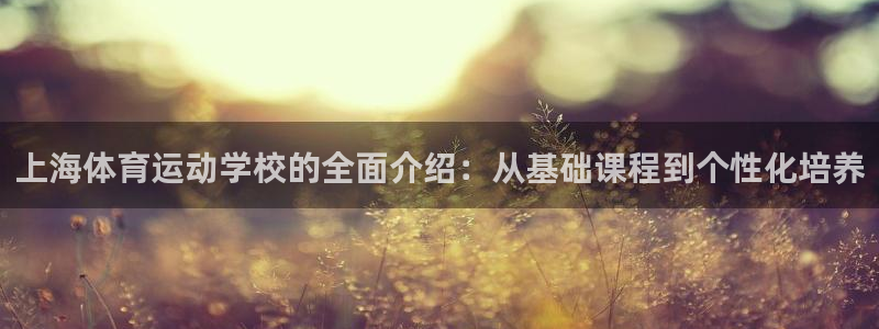 3377体育官网下载招商电话号码：上海体育运动学校的全面介绍