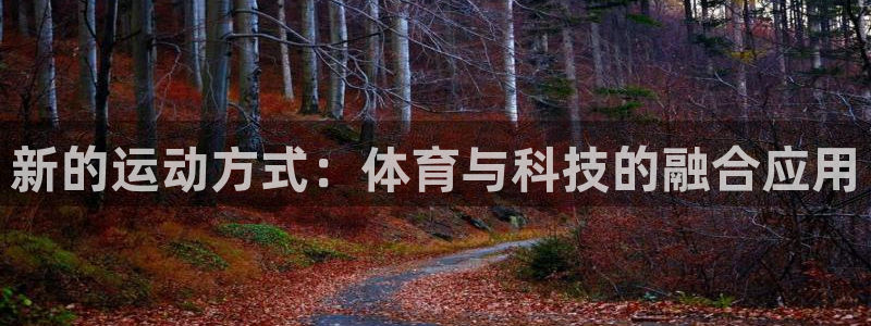 3377体育官方正版app集团官网网址：新的运动方式：体育与