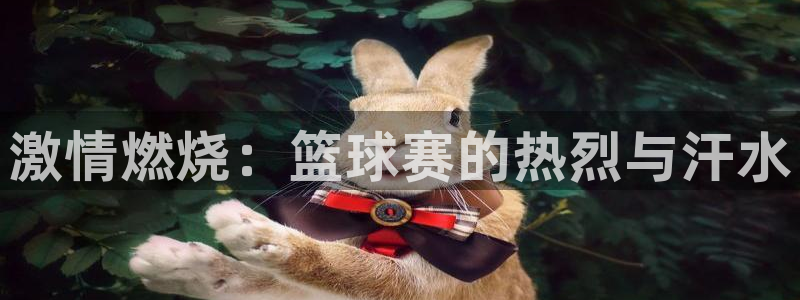 3377体育官网下载平台是正规平台吗知乎：激情燃烧：