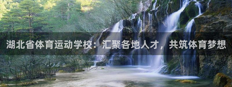 3377体育官网下载：湖北省体育运动学校：汇聚各地人才，共筑