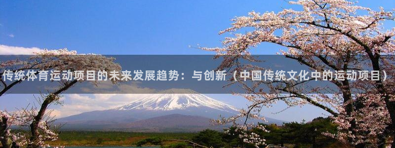 3377体育官网下载软件：传统体育运动项目的未来发展趋势：与