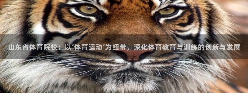 3377体育官网下载平台是正规平台吗安全吗：山东省体育院校：