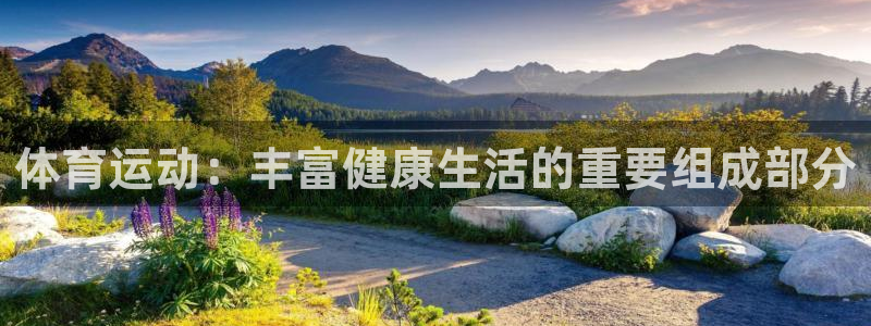 3377体育官方正版app新能源：体育运动：丰富健康生活的重
