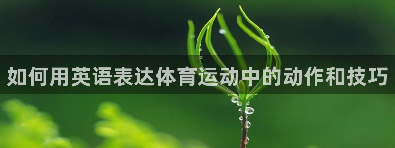3377体育官网下载招商电话号码查询：如何用英语表达体育运动