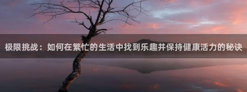 3377体育官方正版app娱乐代理怎么样