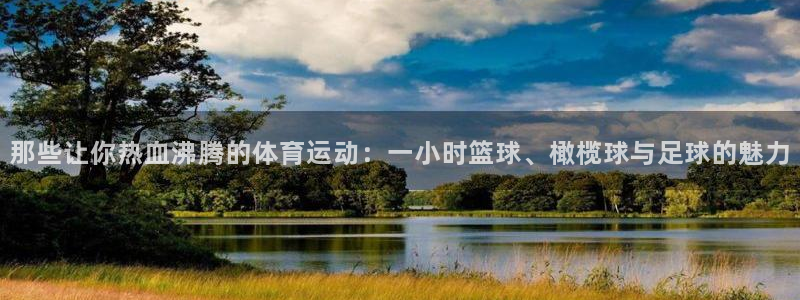 3377体育官方正版app开户：那些让你热血沸腾的体育运动：