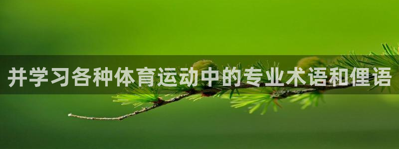 3377体育官方正版app集团：并学习各种体育运动中的专业术