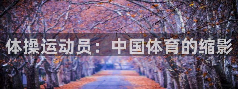 3377体育官网下载：体操运动员：中国体育的缩影