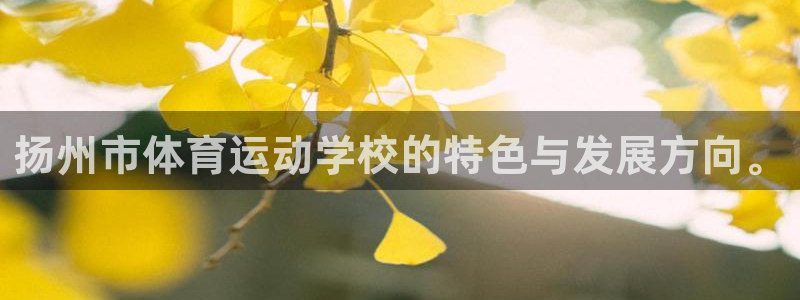 3377体育官网下载注册