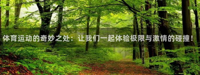 3377体育官方平台体育：体育运动的奇妙之处：让我们一起体验