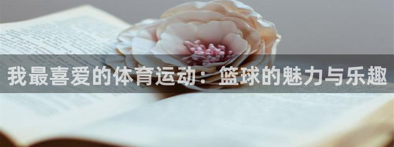 3377体育官网下载平台是正规平台吗安全吗：我最喜爱的体育运