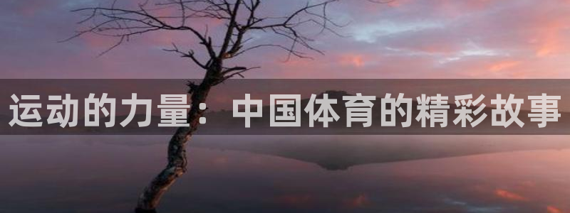 3377体育官网下载：运动的力量：中国体育的精彩故事