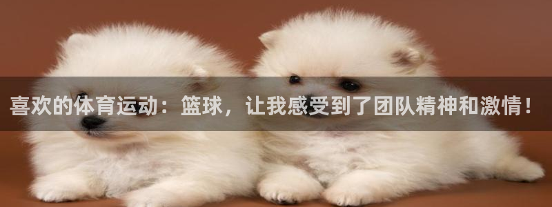 3377体育官方正版app集团E.ON：喜欢的体育运动：篮球