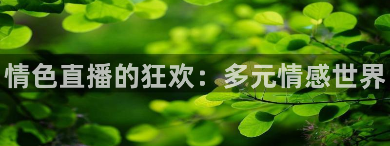 乐球直播视频