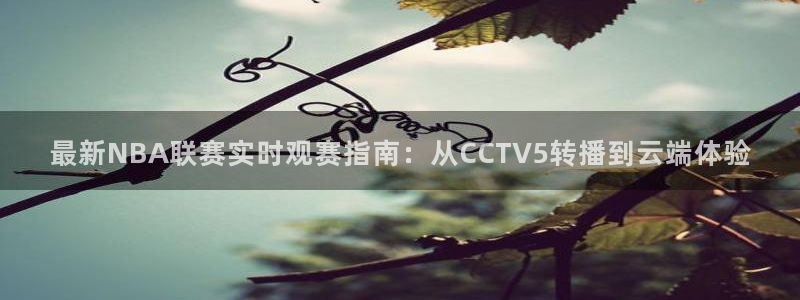 乐球直播免费高清观看法乙