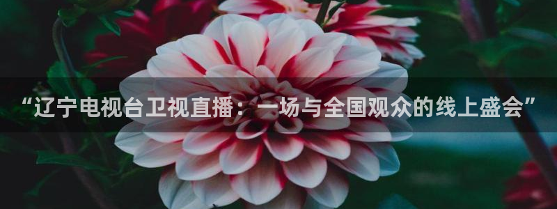 nba赛程直播乐球直播：“辽宁电视台卫视直播：一场与全国观众的线上盛会”