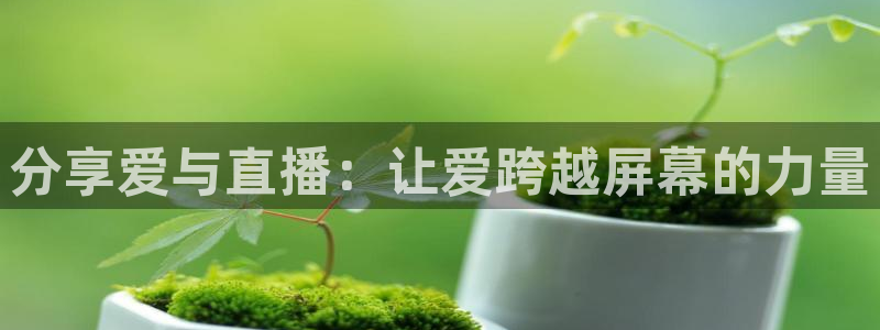 nba球赛直播高清乐球：分享爱与直播：让爱跨越屏幕的力量