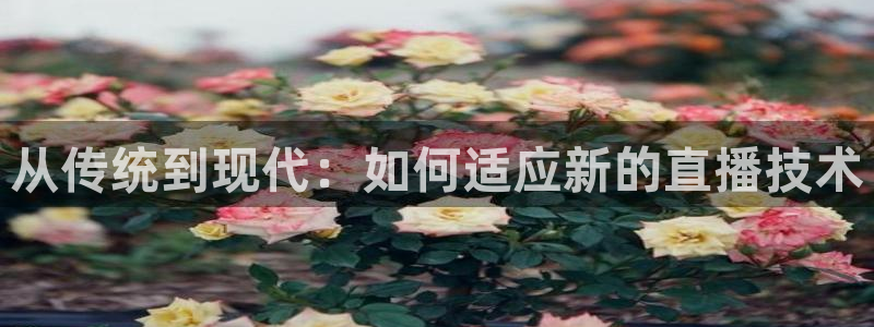 乐球直播nba在线直播：从传统到现代：如何适应新的直播技术
