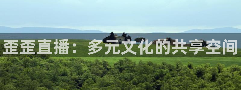乐球网直播：歪歪直播：多元文化的共享空间