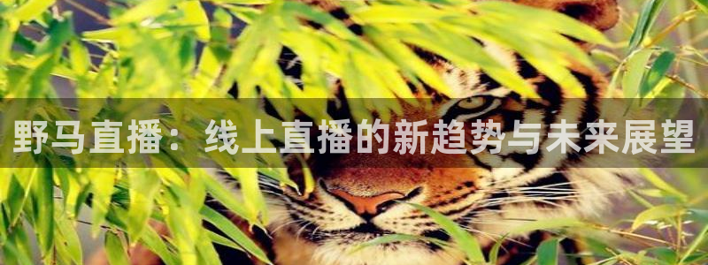 乐球直播今日nba免费高清直播：野马直播：线上直播的新趋势与未来展望