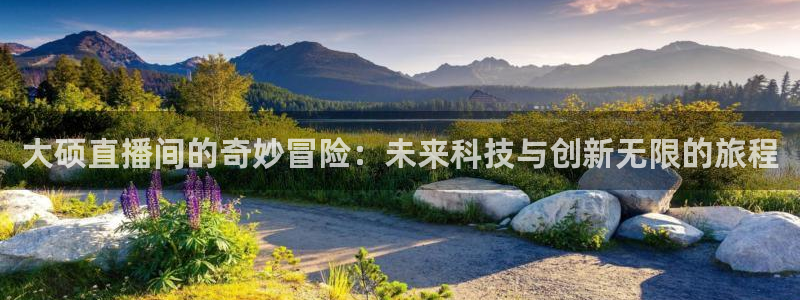 低调看乐球吧jrs直播：大硕直播间的奇妙冒险：未来科技与创新无限的旅程